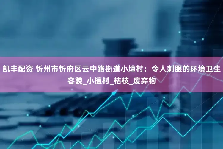 凯丰配资 忻州市忻府区云中路街道小壇村：令人刺眼的环境卫生容貌_小檀村_枯枝_废弃物