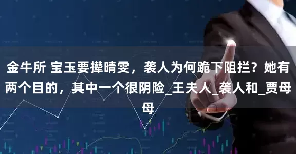 金牛所 宝玉要撵晴雯，袭人为何跪下阻拦？她有两个目的，其中一个很阴险_王夫人_袭人和_贾母
