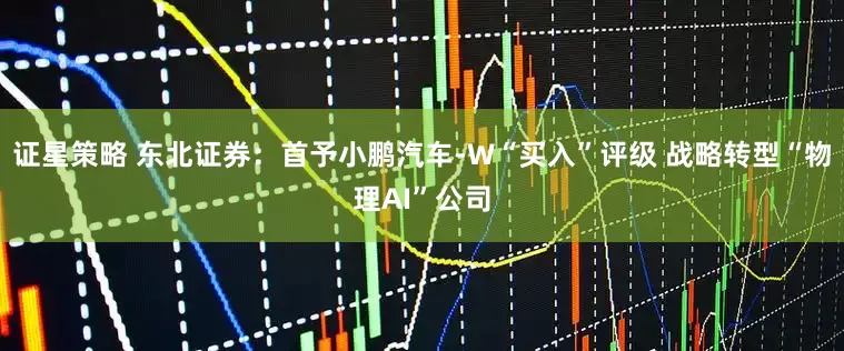 证星策略 东北证券：首予小鹏汽车-W“买入”评级 战略转型“物理AI”公司